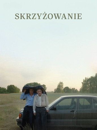 Skrzyżowanie Cały Film (2025) - Vider • Filmy-Vider.pl