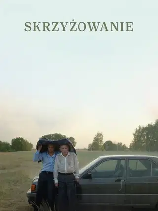 Skrzyżowanie Cały Film (2025) - Vider • Filmy-Vider.pl
