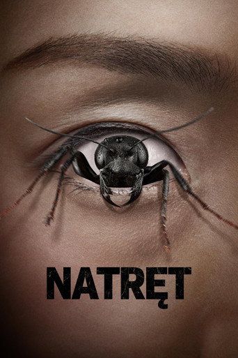 Natręt Cały Film • Vider • Online