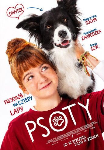 Psoty Cały Film • Vider • Online