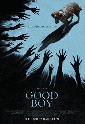 Good boy Cały Film • Vider • Online
