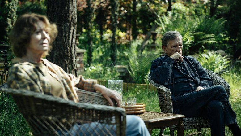 Skrzyżowanie Cały Film (2025) - Vider • Filmy-Vider.pl