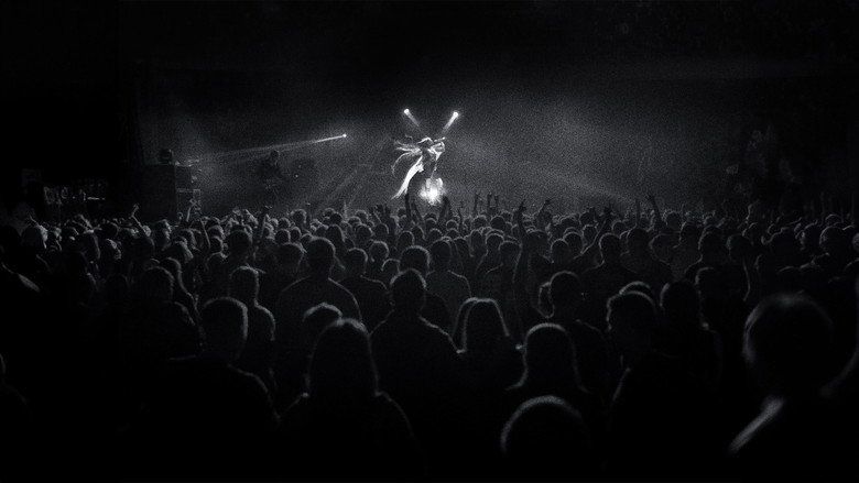 Pułapka Cały Film • Vider • Online