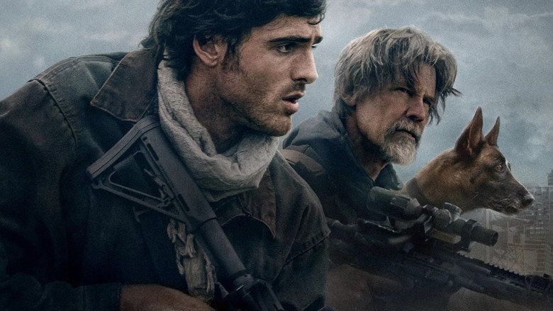 Gwiazdozbiór Psa Cały Film • Vider • Online
