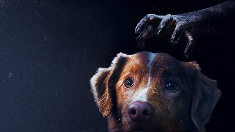 Good boy Cały Film • Vider • Online