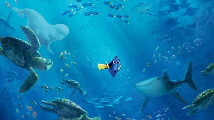 Gdzie jest Dory Cały Film • Vider • Online